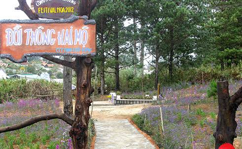 Tình Sử Bi Thương Đằng Sau Khu Đồi Thông Hai Mộ Đà Lạt - Ảnh 1