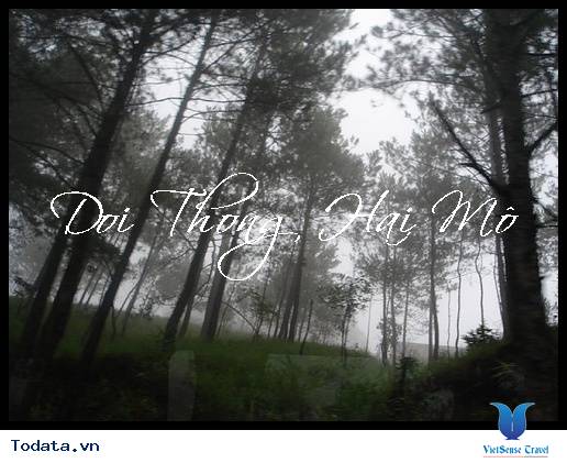 Tình Sử Bi Thương Đằng Sau Khu Đồi Thông Hai Mộ Đà Lạt - Ảnh 2