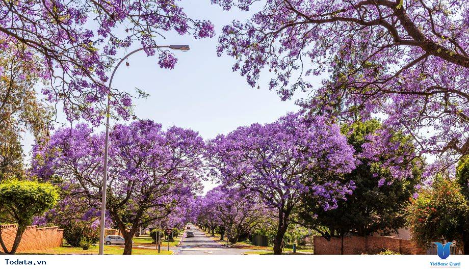 Tòa tháp Burj Khalifa cao nhất thế giới - Ảnh 3