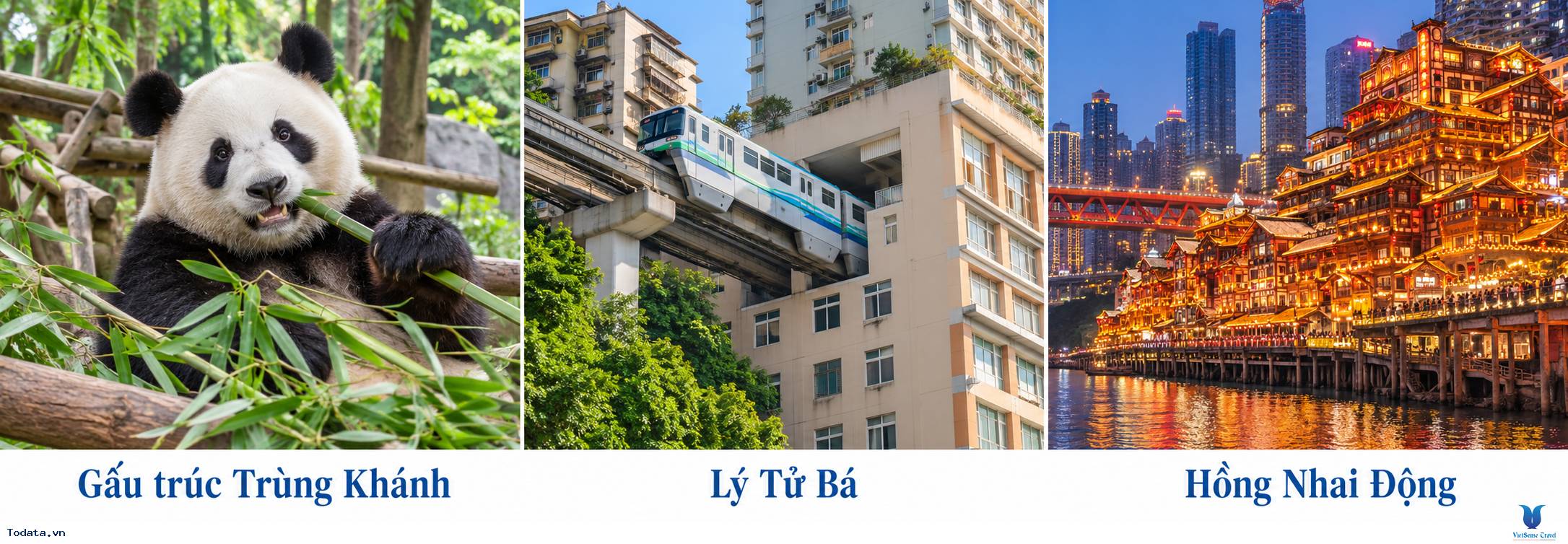 Tour Trùng Khánh 4 ngày 3 đêm bay thẳng West Air No Shopping - Ảnh 2