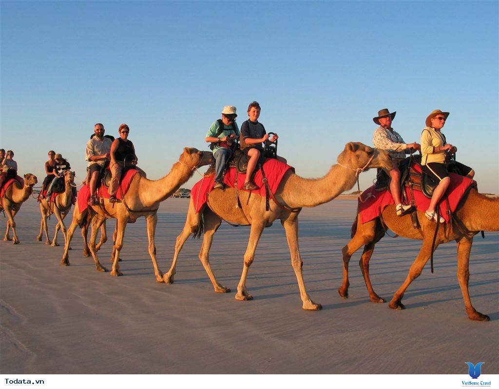 Trải Nghiệm Có 1 Không 2 Trên Sa Mạc Safari - Ảnh 2