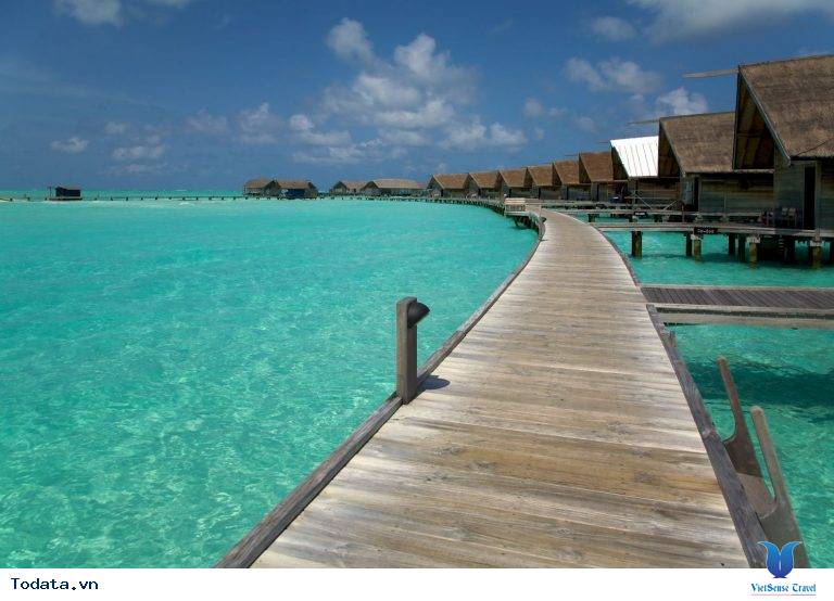 Trải nghiệm cuộc sống nơi thiên đường trên đảo Cocoa Maldives - Ảnh 3