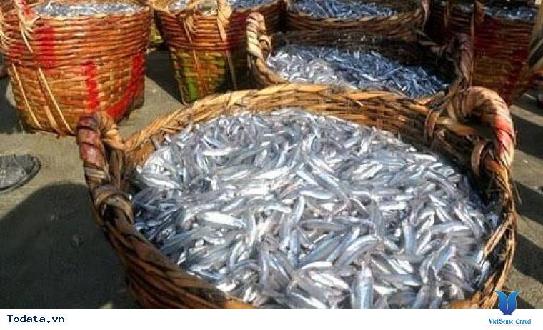 Trải nghiệm độc đáo tại nhà thùng sản xuất nước mắm Phú Quốc - Ảnh 2