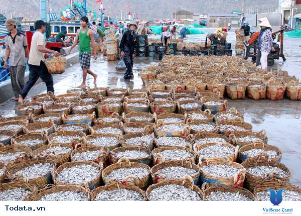 Trải nghiệm độc đáo tại nhà thùng sản xuất nước mắm Phú Quốc - Ảnh 3