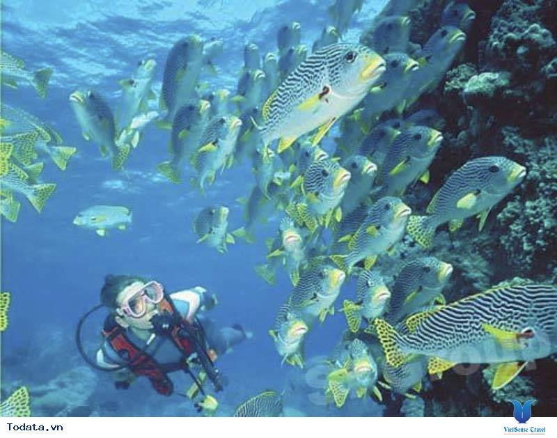 Trải nghiệm những hoạt động khác ở Maldives. - Ảnh 2 Trải nghiệm những hoạt động khác ở Maldives. - Ảnh 2