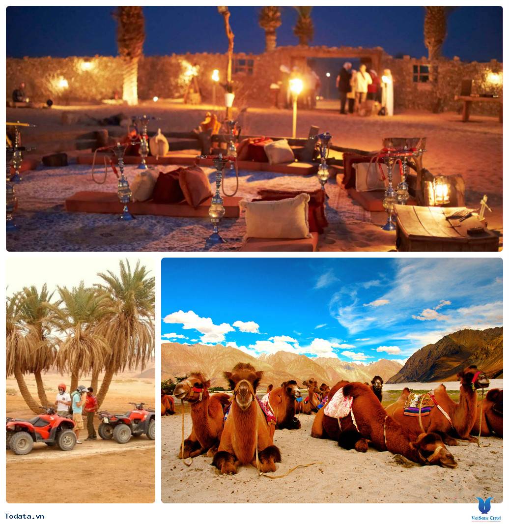 Trải Nghiệm Những Phong Cách Ăn Uống Tại Thiên Đường Dubai - Ảnh 4 Trải Nghiệm Những Phong Cách Ăn Uống Tại Thiên Đường Dubai - Ảnh 4
