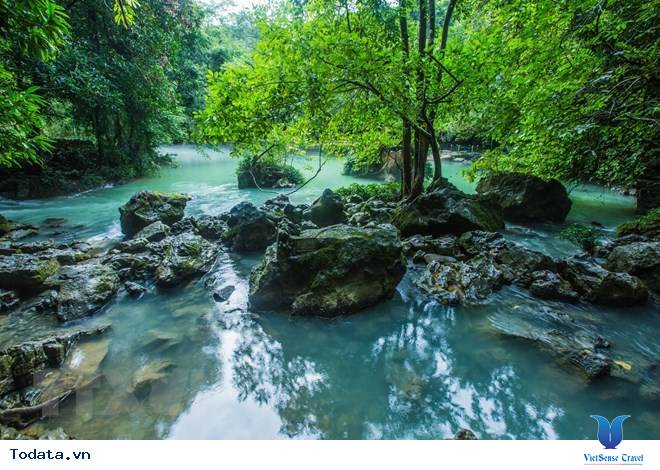 Trong Xanh Suối Nước Lê Nin - Ảnh 9 Trong Xanh Suối Nước Lê Nin - Ảnh 9