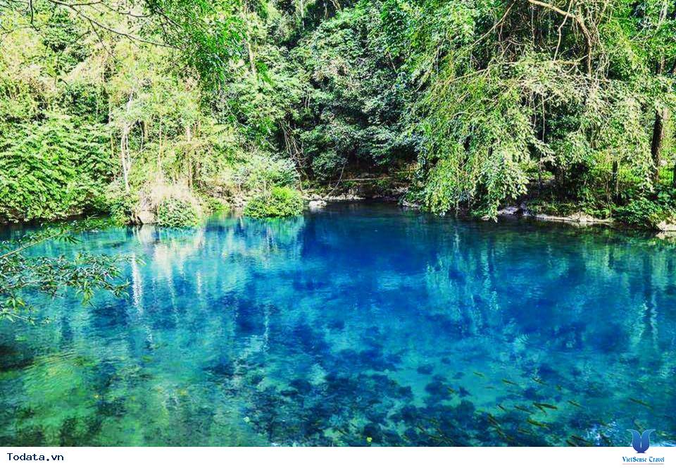 Trong Xanh Suối Nước Lê Nin - Ảnh 7 Trong Xanh Suối Nước Lê Nin - Ảnh 7