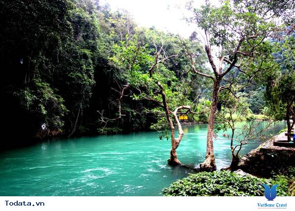 Trong Xanh Suối Nước Lê Nin - Ảnh 8 Trong Xanh Suối Nước Lê Nin - Ảnh 8