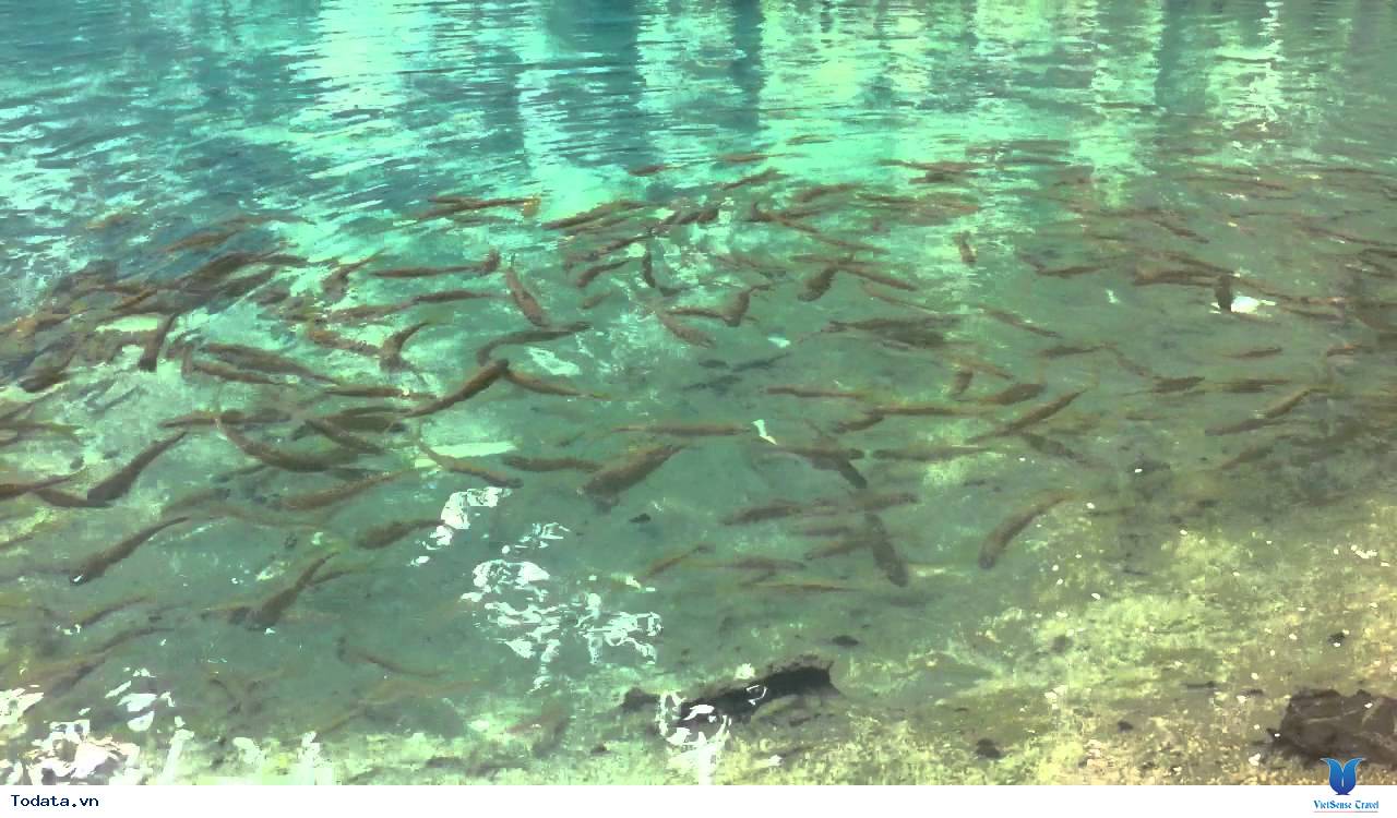 Trong Xanh Suối Nước Lê Nin - Ảnh 5 Trong Xanh Suối Nước Lê Nin - Ảnh 5