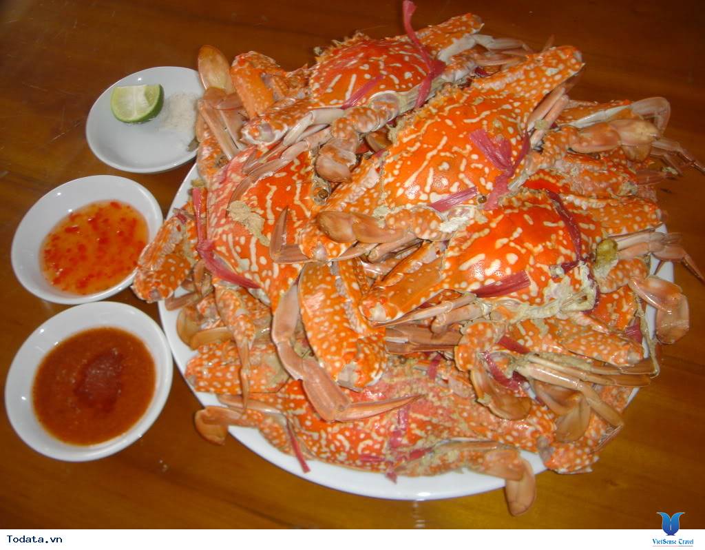 Vấn Vương Hải Sản Sầm Sơn - Ảnh 6 Vấn Vương Hải Sản Sầm Sơn - Ảnh 6