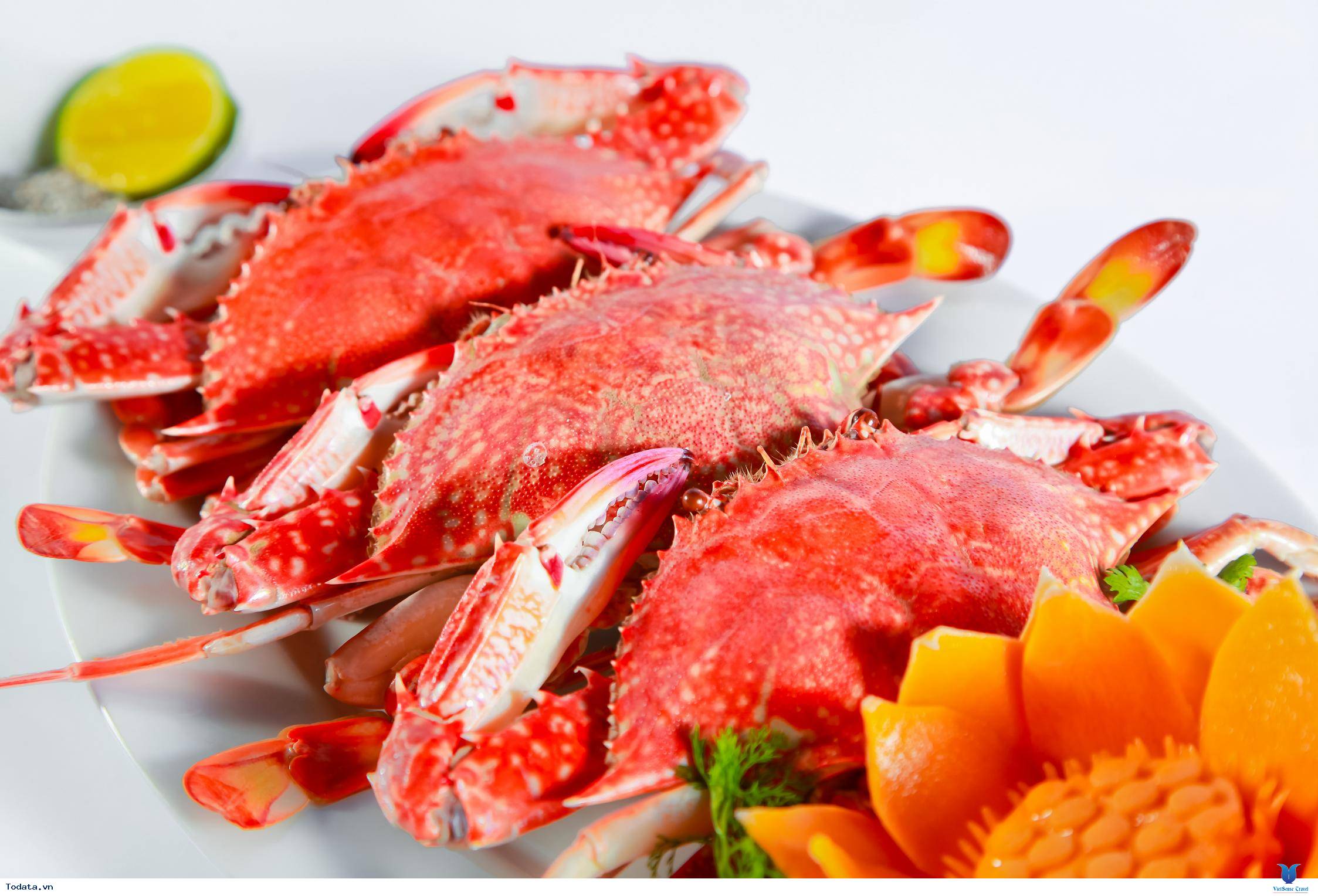 Vấn Vương Hải Sản Sầm Sơn - Ảnh 5 Vấn Vương Hải Sản Sầm Sơn - Ảnh 5