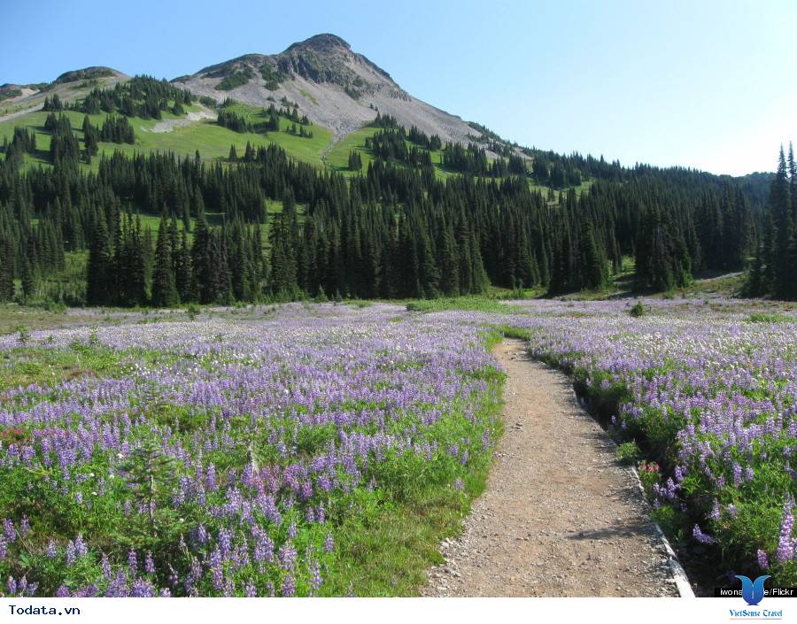 Vẻ đẹp hữu tình của hồ núi lửa Garibaldi - Ảnh 2