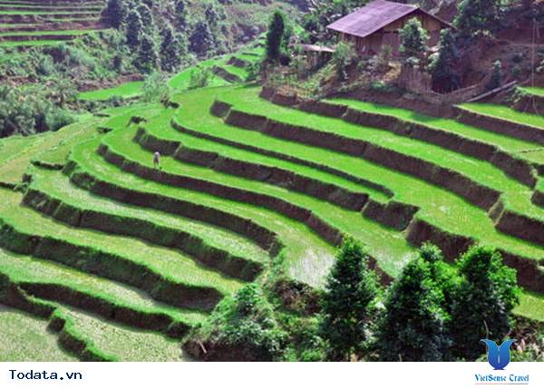 Vẻ đẹp nên thơ của ruộng bậc thang Pác Nặm ở Bắc Kạn - Ảnh 1