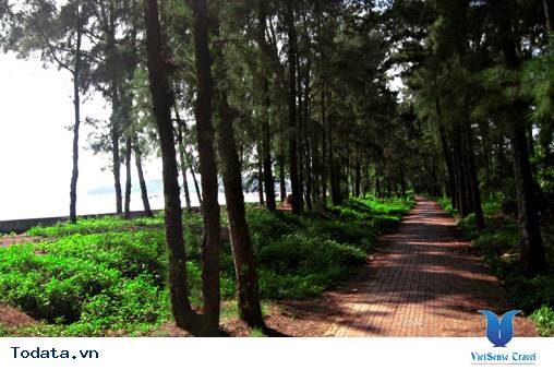 Vẻ Đẹp Thiên Nhiên Và Con Người Cô Tô - Ảnh 3