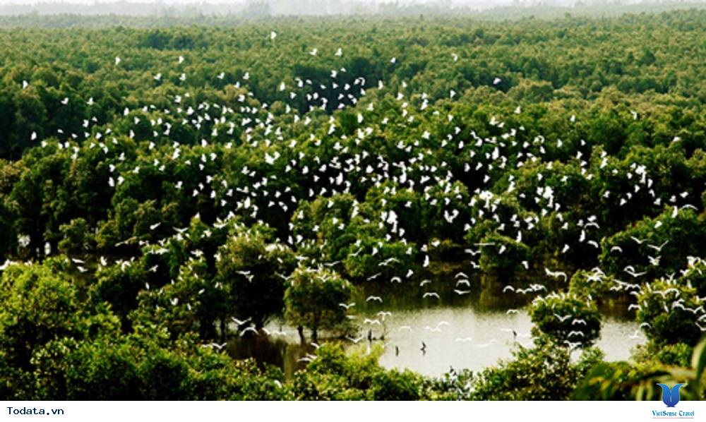 Vẻ đẹp vườn quốc gia Tràm Chim lớn nhất Việt Nam - Ảnh 2