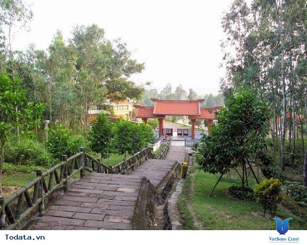 Về Nghệ An Viếng Thăm Mộ Cụ Bà Hoàng Thị Loan - Ảnh 6