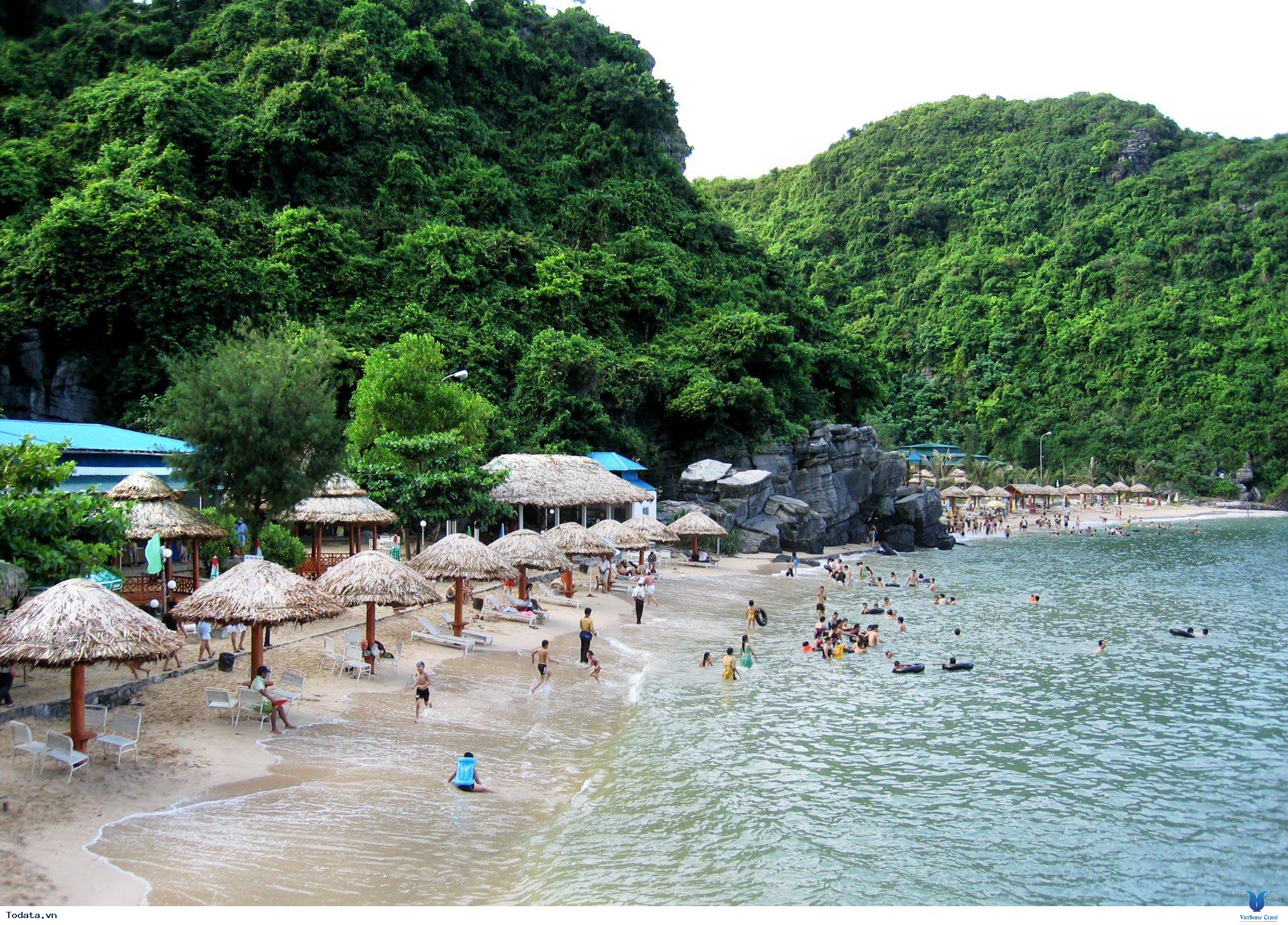 Vi Vu Đảo Khỉ Cát Bà - Ảnh 5 Vi Vu Đảo Khỉ Cát Bà - Ảnh 5