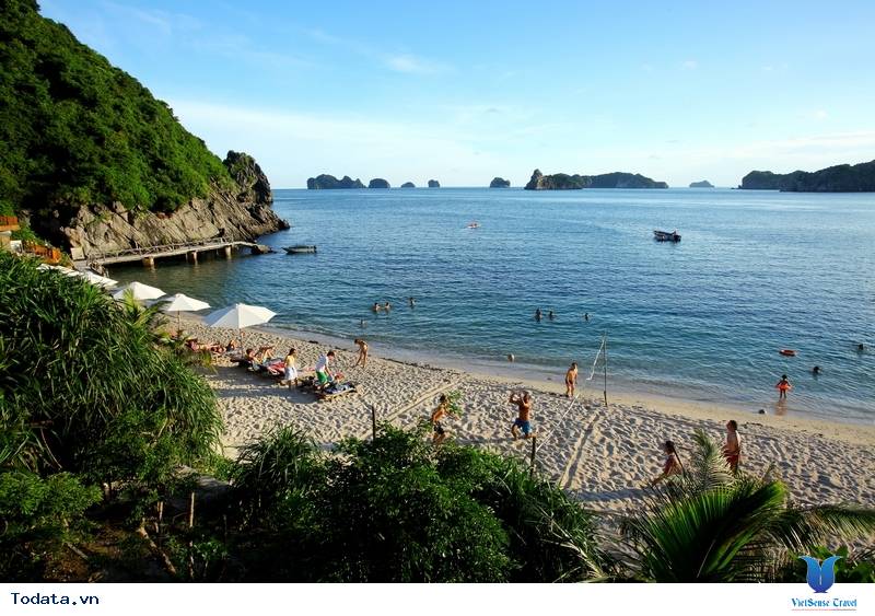 Vi Vu Đảo Khỉ Cát Bà - Ảnh 1 Vi Vu Đảo Khỉ Cát Bà - Ảnh 1