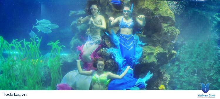 Vinpearl Land Nha Trang - Thiên Đường Vui Chơi Giải Trí Đẳng Cấp Quốc Tế - Ảnh 4