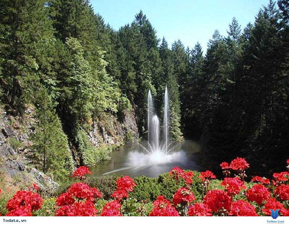 Vườn địa đàng Butchart Gardens xinh đẹp - Ảnh 3