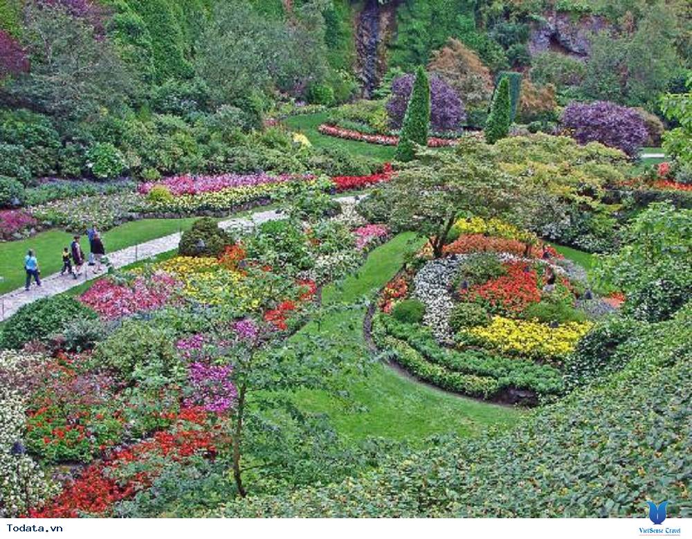 Vườn địa đàng Butchart Gardens xinh đẹp - Ảnh 2
