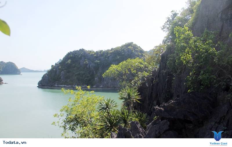 Vườn Quốc Gia Bái Tử Long - Ảnh 5