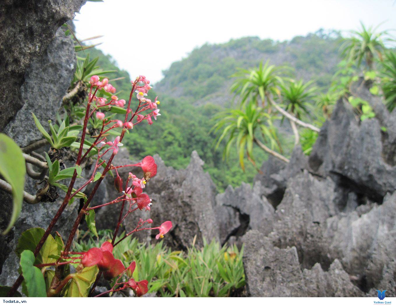 Vườn Quốc Gia Bái Tử Long - Ảnh 7