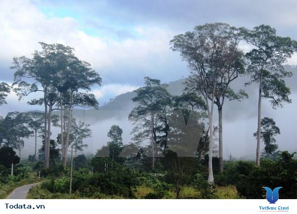 Vườn quốc gia Phước Bình, điểm đến hấp dẫn của Ninh Thuận - Ảnh 1