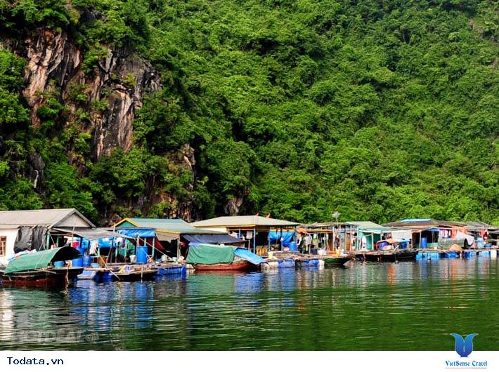 Yên Bình Nơi Làng Chài Vung Viêng - Ảnh 3 Yên Bình Nơi Làng Chài Vung Viêng - Ảnh 3