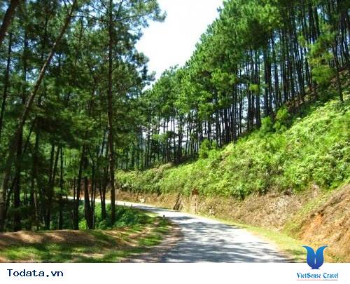 Yên Minh - Thảo Nguyên Xanh Mát Trên Núi Rừng Hà Giang - Ảnh 4