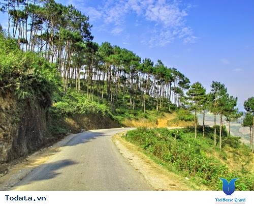 Yên Minh - Thảo Nguyên Xanh Mát Trên Núi Rừng Hà Giang - Ảnh 3