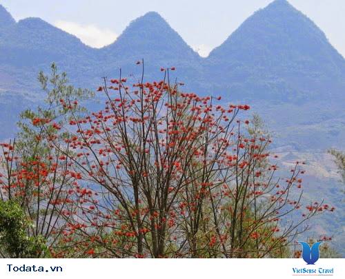Yên Minh - Thảo Nguyên Xanh Mát Trên Núi Rừng Hà Giang - Ảnh 7